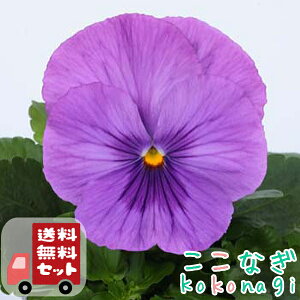 yE12PZbgzpW[@NAx_[@9Z`|bg@3@ԕcZbg