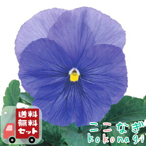 yE12PZbgzpW[@NAu[@9Z`|bg@3@ԕcZbg