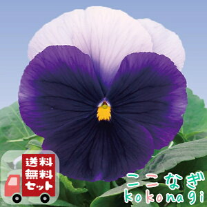 yE12PZbgzpW[@r[R@9Z`|bg@3@ԕcZbg