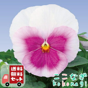 yE12PZbgzpW[@sNtA@9Z`|bg@3@ԕcZbg