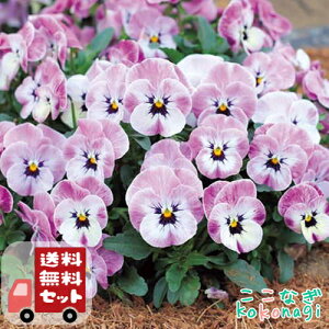 yE12PZbgzrI@߂@9Z`|bg@3@ԕcZbg