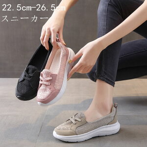 fB[X Xb| V[Y Xj[J[ ɂ JWA r EH[LO 킢  i[XV[Y  y ~ ϖ ʋC wlC d ɂ 22.