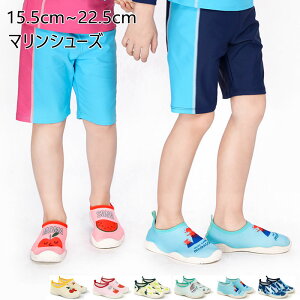 q p C }V[Y LbY }X|[c ANAV[Y r[`V[Y ̎q j̎q  AEghA v[  l W[  PKh~  킢 