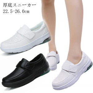 fB[X Xj[J[ Y h jOV[Y Xj[J[ C JWAV[Y y  ʋC ~ JWA lC ^C EH[LOV[Y WMOV[