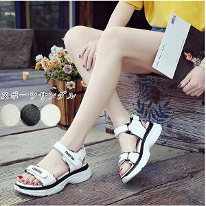 fB[X Xj[J[T_ X|[cT_ T_ ₷ ɂȂ PU _炩NbV h y JWA ^C  xg Xgbv X|T s C  