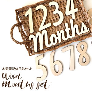 kokoni IWifUCymonthszyZbgz ؐoi[Zbg oi[ZbgyMONTHS ʐ^ tHg t  p[eB[ObY I[ig ^[oi[ C