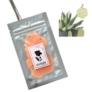 l[^O 5Zbg atelight  AN l[v[g   ؍ Jt G