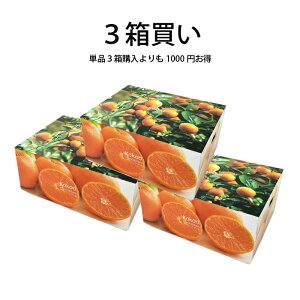 �y���������z���Q�������l�Y�u���b�h�I�����W�i�^���b�R�j�q�G�i�E�M�t�gBOX���r��3kg�b���Y �� ���k ������ �݂��� �t���[�c ���蕨 �v���[���g �̂��Ή� �A���g�V�A�j�� blood orange �Y�n