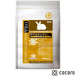 C[X^[ oj[ZNVvEOet[ VjA 900g  t[h  ܖ 2026N6