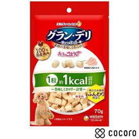 グラン・デリ きょうのごほうび美味しくカロリー計算ふんわり仕立て 70g 犬 えさ おやつ スナック 間食 ◆賞味期限 2026年3月