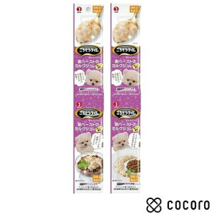 ^C |PbgpbN {y[Xg̃~NW`[YY 100g  hbOt[h  EFbg ܖ 2026N2