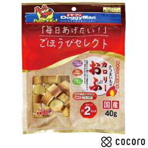 قуZNg ܂̃J[ 40g    XibN ԐH ܖ 2026N1