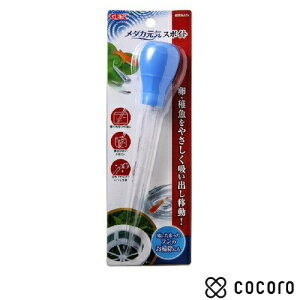 y11/10܂ŌlzGEX _JCX|Cg ybgpi