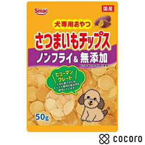 y11/10܂Ōlz܂`bvX mtC&Y 50g    XibN ԐH ܖ 2026N2