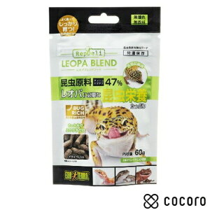 GEX Ipuht[h 120g  t[h  ܖ 2026N2