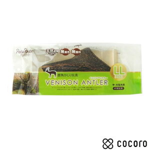 ybc[g pߋ xj\Ag[ LL E^p 1  