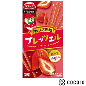 プレッツェル 栃木県産とちおとめ味 30g 犬 えさ おやつ スナック 間食 ◆賞味期限 2027年4月