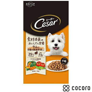�V�[�U�[�h���C �����p ������4��̔_����ؓ��� ���� (700g)CSR93 �� �h�b�O�t�[�h ���� �h���C ���ܖ����� 2027�N1��