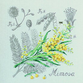 VERONIQUE ENGINGER(ヴェロニク・アンジャンジェ)クロスステッチキット壁掛け お花 シリーズ "Etude au Mimosa" (ミモザのエチュード)【リネン】