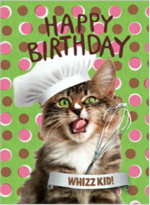 楽天市場 フランスグリーティングカード ネコ お誕生日おめでとう ココロ商店