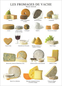 【フランス製ポストカード】LES FROMAGES DE VACHE(チーズ)