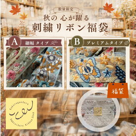 【2026年秋 心が躍る刺繍リボン福袋】刺繍リボン 福袋 インド刺繍リボン 数量限定 生地 布 手芸用品 洋裁 刺繍リボン セット 手芸材料 ハンドメイド 細幅 中太幅 幅広 広幅 happybag2025