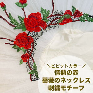 y1Pʁz hJ`[t AbvP by `[t [X hJ `[t[X ԕ KN ߑ ߑޗ Xe[Wߑ  i ޗ  rrbgJ[M̐KÑlb