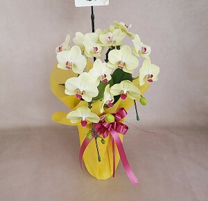 蕨ɑlC@j@F@~fBӒ@2{i14֑Oڂ݊܂ށj @ڂݑ߂̏ꍇ