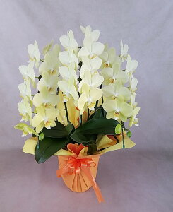 FnӒ@YnIwKłx@~fBӒ3{i24ֈȏEڂ݊܂ށjFn@ڂݑ߂̏ꍇ@ɂԐFςꍇ܂