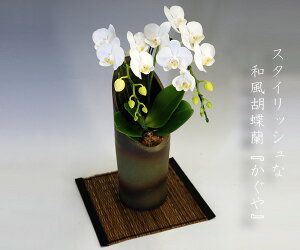 ̓@Ӓ@ō@j@JX@JƁ@@Mtg@ō@摜zM@iۏ؁@j.Mtg/aɍX^CbVȘaӒwx~fB[TCYӒ2{