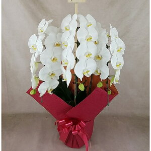 Ӓ@j@JX@JƁ@AC@@Mtg@ō@摜zM@iۏ؁@@ll@i@ً}lyzw،ӒxӒ3{i27֑OEڂ݊܂