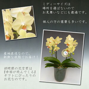 ~fBӒyj@̓@̓@hV̓@̑Mtgzum̓SlvĂUc}2{i14֑Oڂ݊܂ށj pÏ׃bsOΉł܂B ڂݑ߂