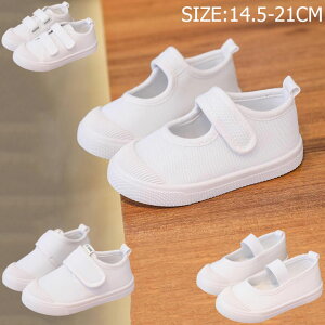 LbY  V[Y ̎q j̎q  V[Y q C 㗚 }WbNe[v ₷  C V[Y q V[Y ~ JWA qǂ C jp ct ig 