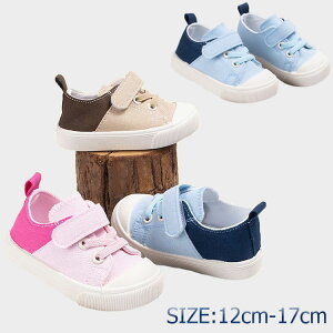 q C 㗚 LbY ΂ j̎q ̎q V[Y 킢 YbN LoXV[Y C  w  ʊw w }WbNe[v ct ۈ牀 V[Y V[Y 