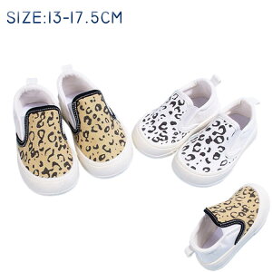 q V[Y 㗚 LbY V[Y ̎q j̎q 킢 YbNV[Y LoXV[Y tH V[Y qǂ C  ʊw WjA V[Y Sn ʋC