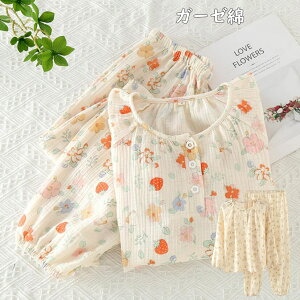 fB[X [EFA100%K[[ pW} [EFA K[[&p Q pW} fB[XpW} l pW} OJ  bNXEFA iCgEFA ㉺Z