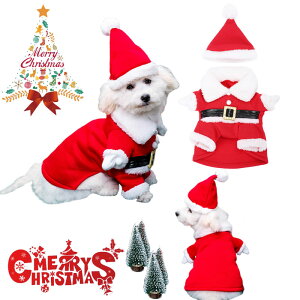 NX}X ybgEFA  T^ NX}X RXv ߑ  RX`[ RXv p  ybg ϑ NX}X p[eB[ ybgObY pi Ck m ^ |