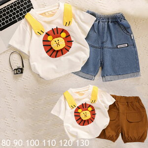 xr[ j̎q  2_Zbg Vc/pc xr[ ĕ LbY  ۈ牀 ct i ʉ   LbY gbvX Vbgpc LbY JWA c Zp fjpc 