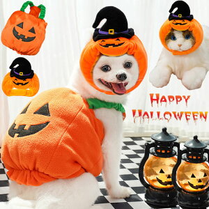 nEB ybg RXv ߑ  hbOEFA nEB[ p[eB[ J{ ybgObY ybgEFA  Xq ybg RX`[  nEB Ck m ڂ 