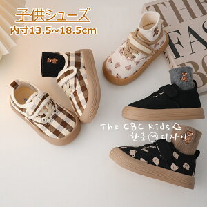 qC 㗚 LbY j̎q ̎qV[Y C V[Y 킢 YbN oGV[Y LoXV[Y C  fUC w  y ʊw w }WbNe[v 