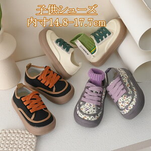 qC 㗚 LbY j̎q ̎qV[Y C V[Y 킢 YbN oGV[Y LoXV[Y C  fUC w  y ʊw w }WbNe[v 