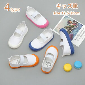 qC 㗚 LbY j̎q ̎qV[Y C V[Y 킢 YbN oGV[Y LoXV[Y C  fUC w  y ʊw w }WbNe[v 