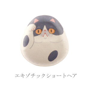  ӂP[X GL]`bNV[gwA L NKO06 a  ۂ a IuWF ^ N ɐ ܂˂˂ lRObY uTJ m LObY ˂ACe yY v