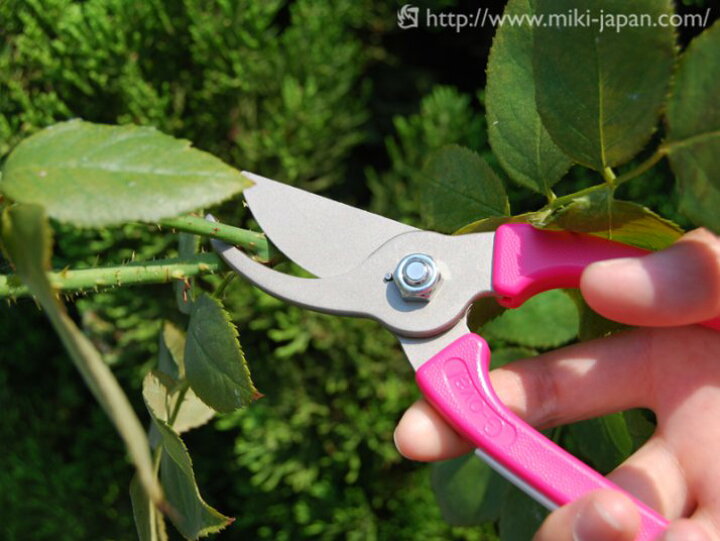 楽天市場 Gardenoval 剪定 枝切ハサミ Ts135 グリーン Ts136 パープル Ts137 ピンク みきかじや村 ガーデニング鋏 切り花用 生け花用 ハサミ 紫 桃 緑 サビに強い 使いやすい よく切れる 軽い力で切れる Sk鋼 日本製 女性向き 手の小さな人でも安全 ちょっとおしゃれな