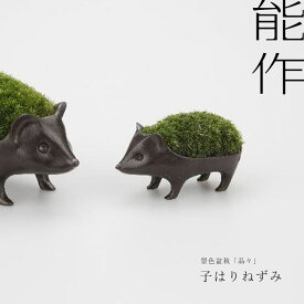 子はりねずみの苔盆栽 能作 小林健二 nousaku 青銅 おしゃれ インテリア 鋳物 小物 盆栽 苔 グリーン 子ども ハリネズミ 展示 かわいい 園芸 パーティ 春 粋 ご褒美 快気 就職 長寿 父 母 両親 記念日 喜寿祝い 銅婚式 お祝い 高岡銅器 贈り物 プレゼント ギフト お祝い