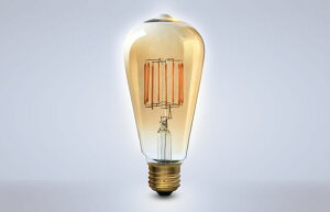 Only One LEDd tBguSiphonvTCtH GW\ LDF30D  E26 Fx2200KigndFj  g