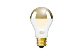 デザインLED電球「Siphon」サイフォン The Bulb Gold mirror+Frost　 LDF81 口金E26 調光可能 調光器対応 真鍮ソケット 球体 オブジェ感 まぶしくない電球 電球色2600K