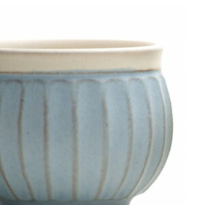  PELICAN SHINOGI MUG BLUE WHITE eB[Jbv MEDE IN KYOTO  }OJbv ĕ Â R[q[Jbv eB[Jbv Vzj Rbv j D v[g Mtg 蕨 { Y