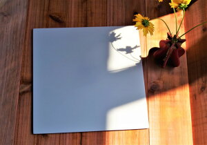 PLATE squareiv[g XNGA tbgj Ly Canvas HANASAKAiLoX niTJj z@y̔SyĂVJāBtbgŃ}bgȃfUCɁAt̐Fʂf