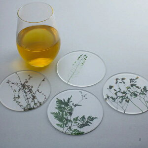  coaster ؔ4Zbg a4817 b5005 c4411 d4428 R[X^[ iYi jKi uW~ qXCo A`mMN iM^f lmL RZ_OT n[ J^o~ hZ[W R}